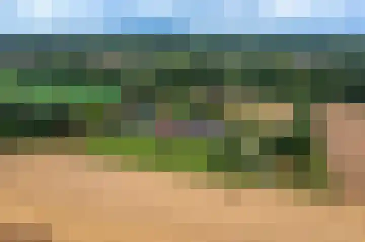 Wensenkampsweg 1 Vlagtwedde thumbnail 25