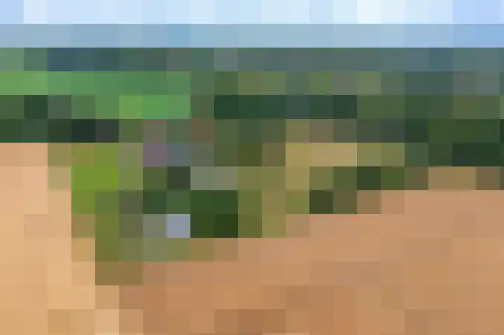 Wensenkampsweg 1 Vlagtwedde thumbnail 26