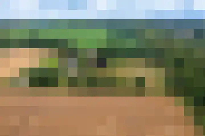 Wensenkampsweg 1 Vlagtwedde thumbnail 27
