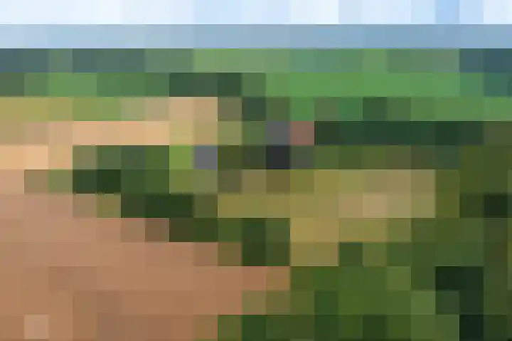 Wensenkampsweg 1 Vlagtwedde thumbnail 28