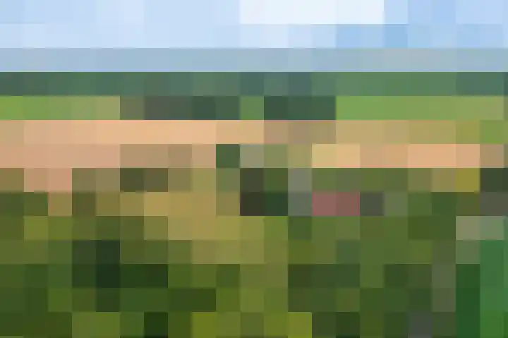 Wensenkampsweg 1 Vlagtwedde thumbnail 29