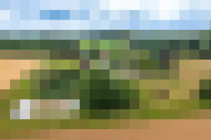Wensenkampsweg 1 Vlagtwedde thumbnail 30