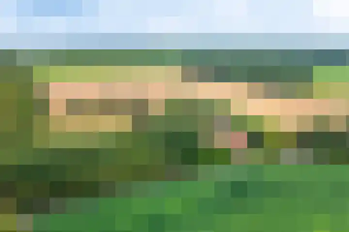 Wensenkampsweg 1 Vlagtwedde thumbnail 31