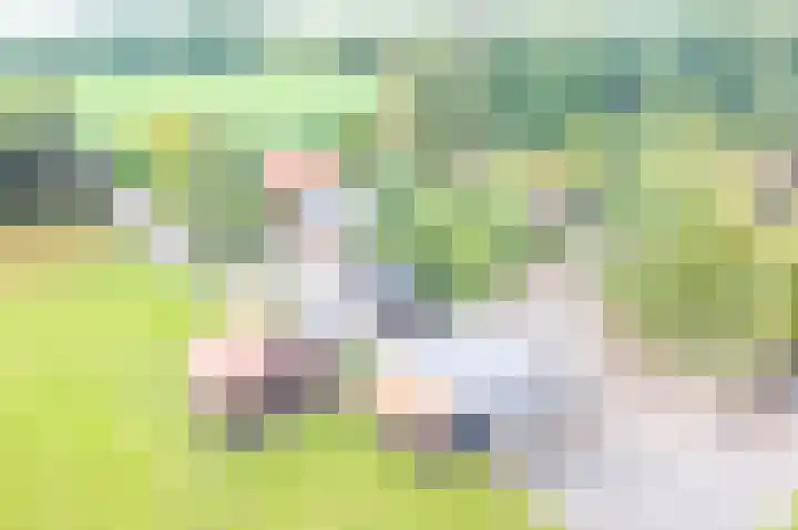 Wensenkampsweg 1 Vlagtwedde thumbnail 32