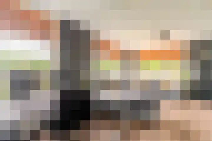Wensenkampsweg 1 Vlagtwedde thumbnail 35