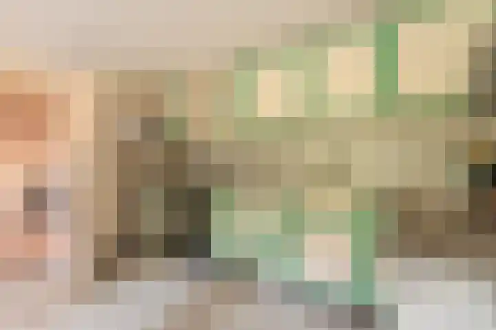 Wensenkampsweg 1 Vlagtwedde thumbnail 41