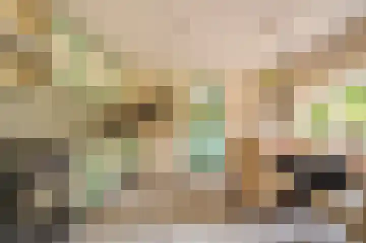 Wensenkampsweg 1 Vlagtwedde thumbnail 42