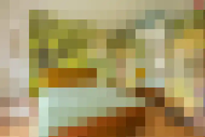 Wensenkampsweg 1 Vlagtwedde thumbnail 44