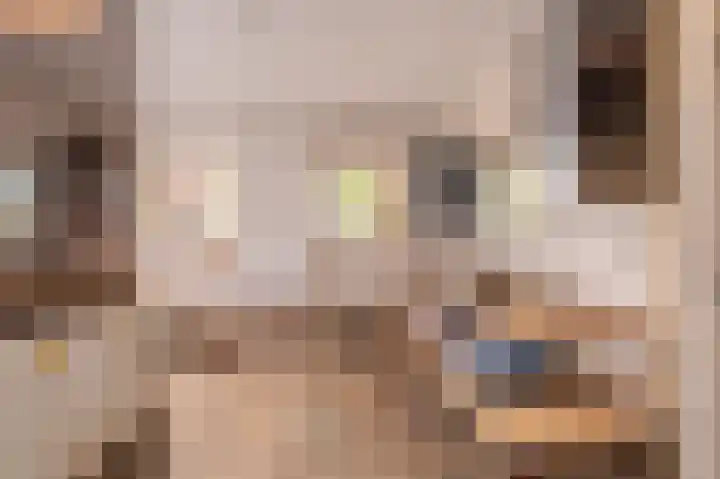 Wensenkampsweg 1 Vlagtwedde thumbnail 48