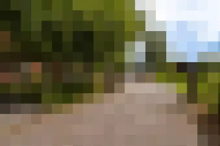 Wensenkampsweg 1 Vlagtwedde thumbnail 5