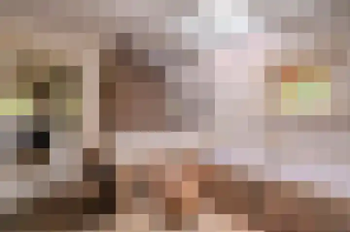Wensenkampsweg 1 Vlagtwedde thumbnail 50