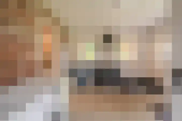 Wensenkampsweg 1 Vlagtwedde thumbnail 52