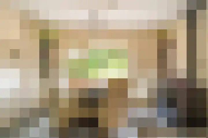 Wensenkampsweg 1 Vlagtwedde thumbnail 54
