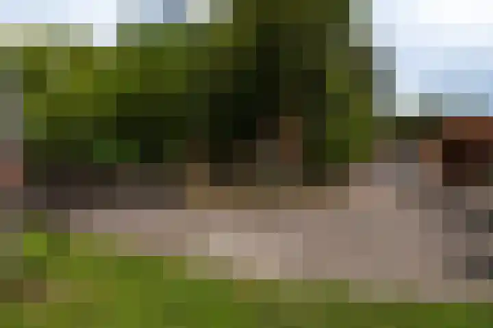 Wensenkampsweg 1 Vlagtwedde thumbnail 6