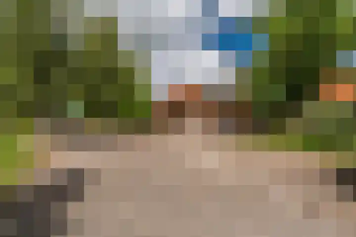 Wensenkampsweg 1 Vlagtwedde thumbnail 7