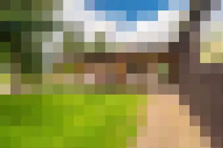 Wensenkampsweg 1 Vlagtwedde thumbnail 8