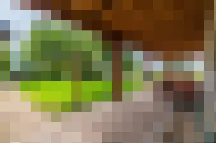 Wensenkampsweg 1 Vlagtwedde thumbnail 9