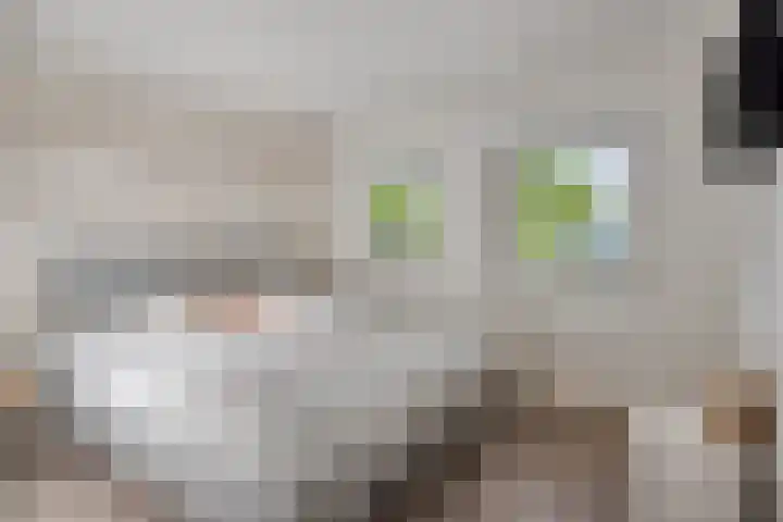 Wensinkstraat 32 b Borne thumbnail 23