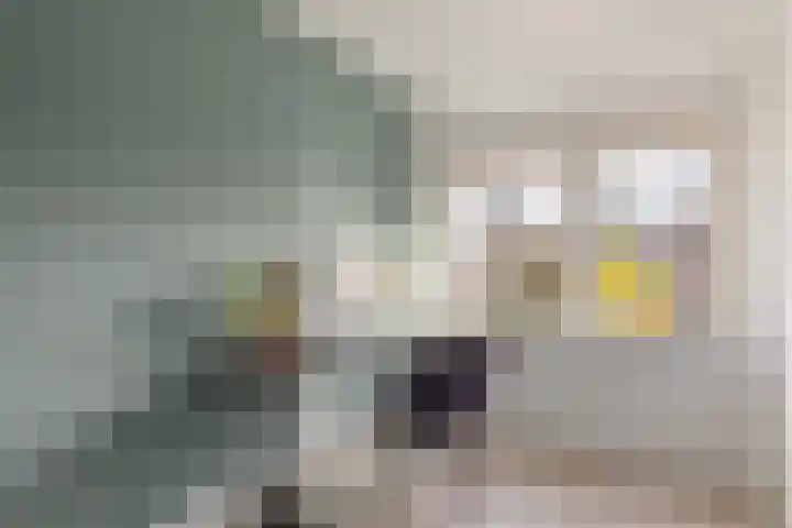 Wensinkstraat 53 Borne thumbnail 10