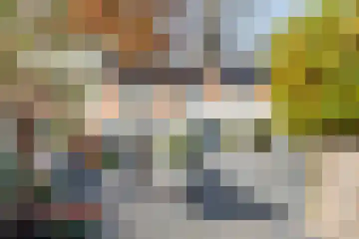 Wensinkstraat 53 Borne thumbnail 12