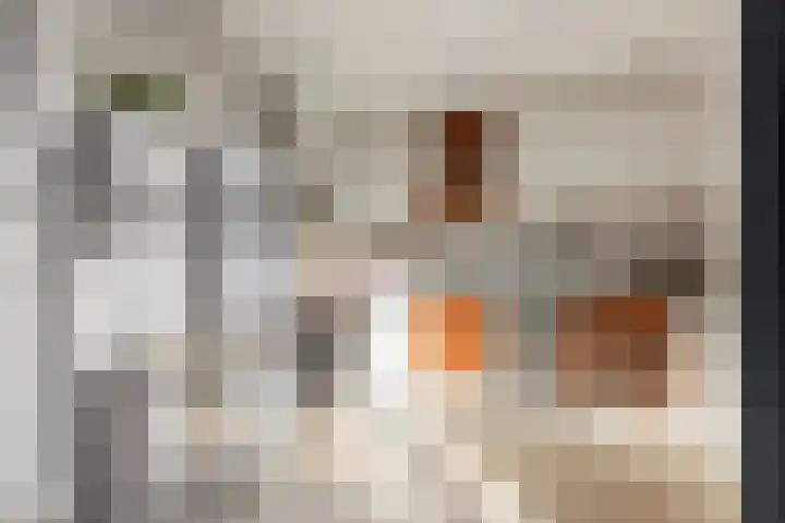 Wensinkstraat 53 Borne thumbnail 7