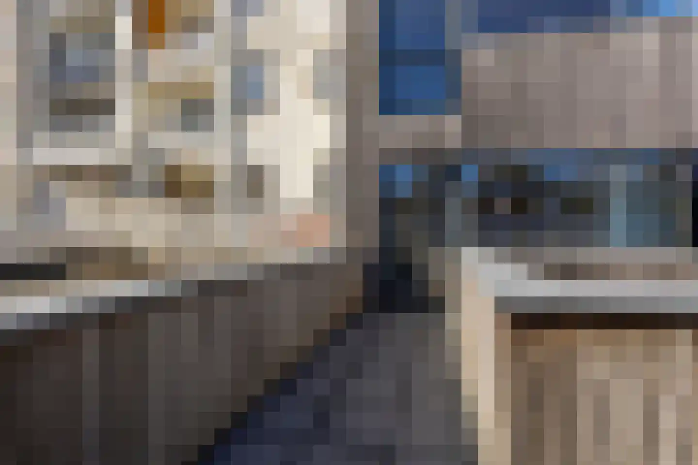 Wenslauerstraat 69 1 Amsterdam thumbnail 18