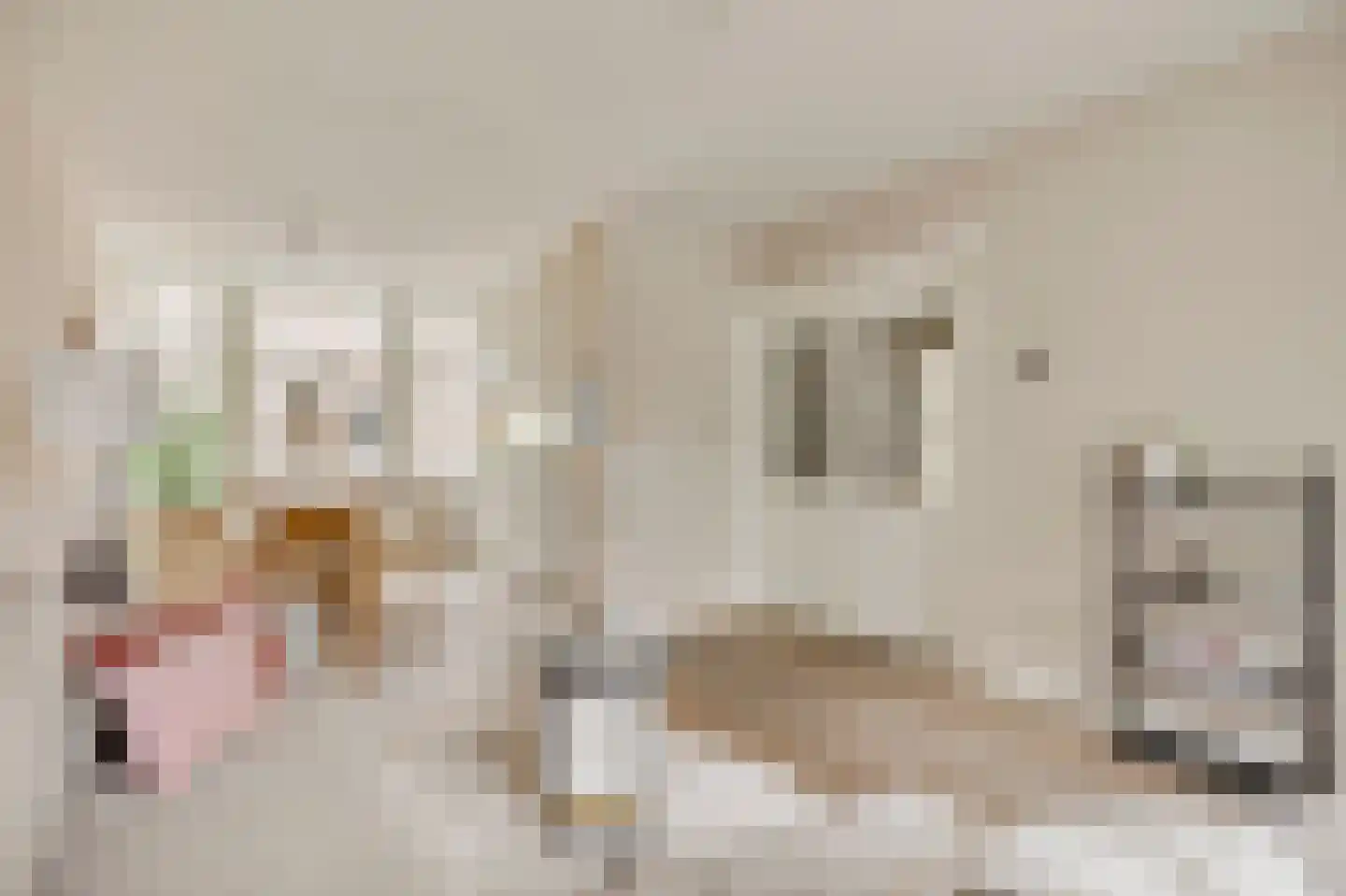 Wenslauerstraat 69 A 1 Amsterdam thumbnail 7