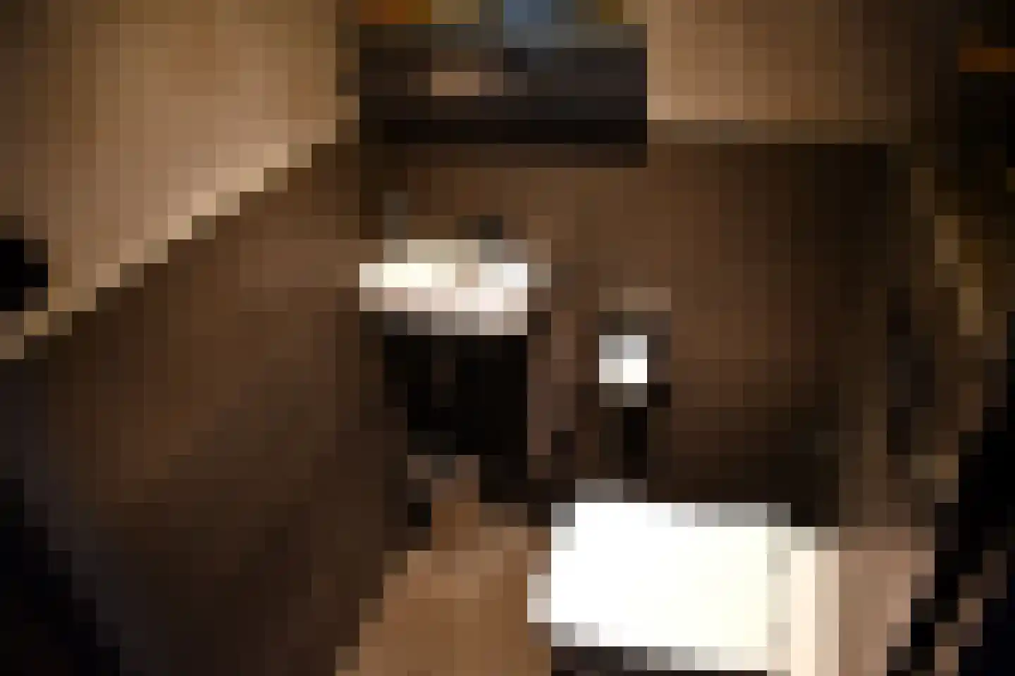 Wentel 3 Muntendam thumbnail 21