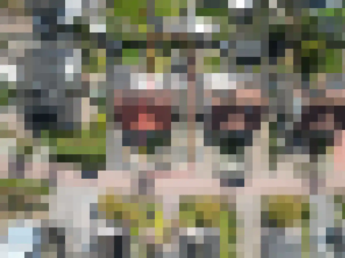 Wentel 3 Muntendam thumbnail 33