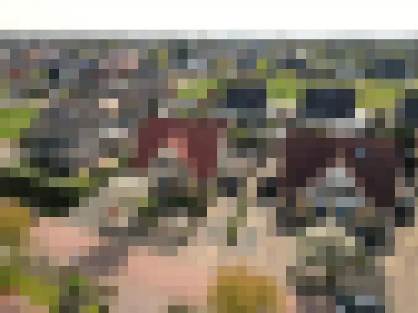 Wentel 3 Muntendam thumbnail 4
