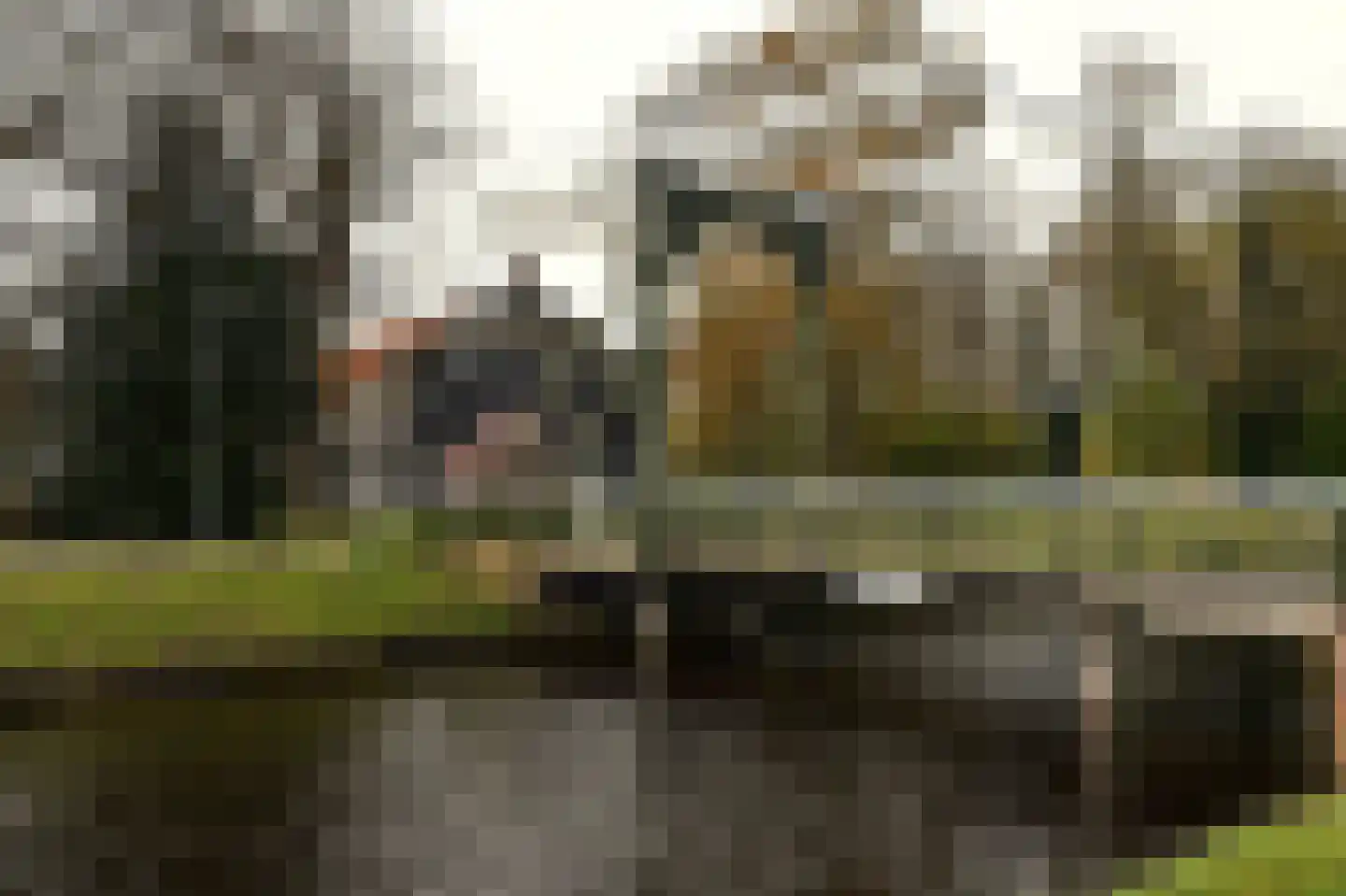 Wentel 3 Muntendam thumbnail 42
