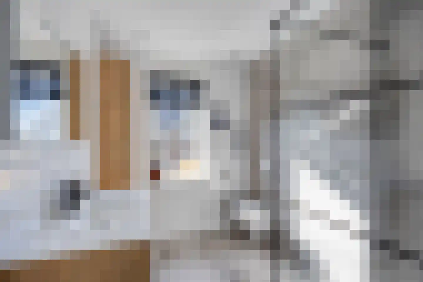 Wentelploeg 12 't Zand thumbnail 24