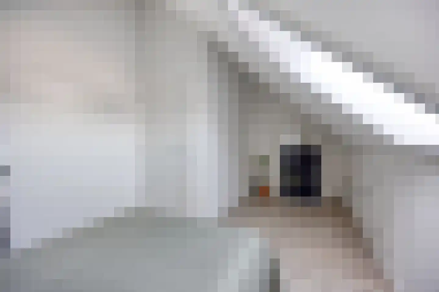 Wentelploeg 12 't Zand thumbnail 34