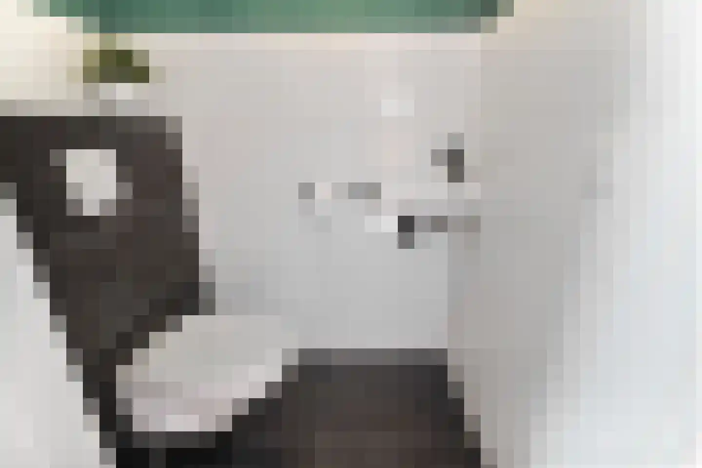 Wentelploeg 16 't Zand thumbnail 11