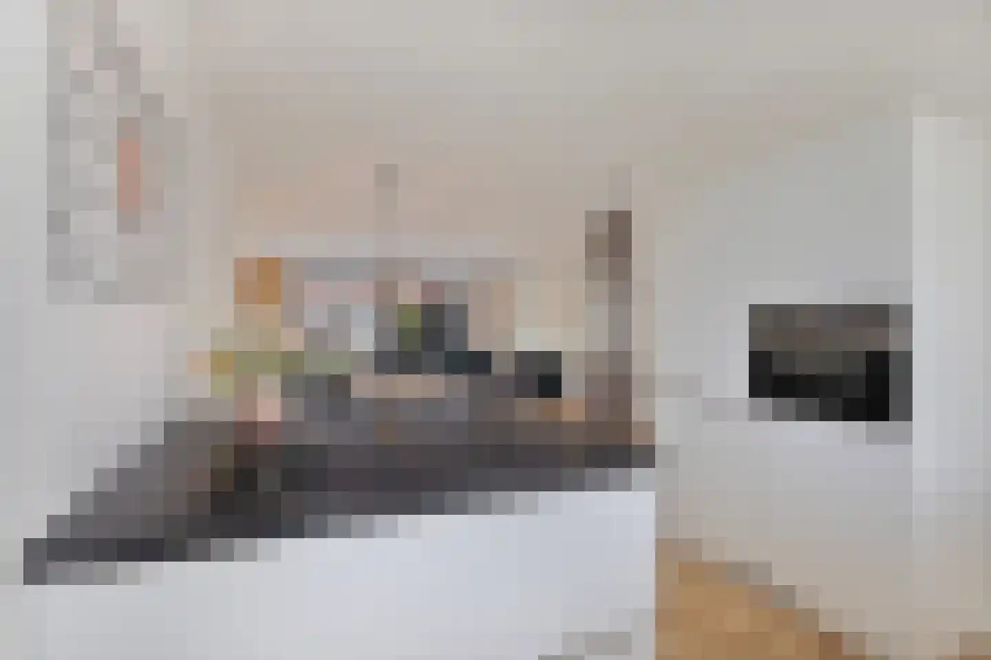 Wentelploeg 16 't Zand thumbnail 22