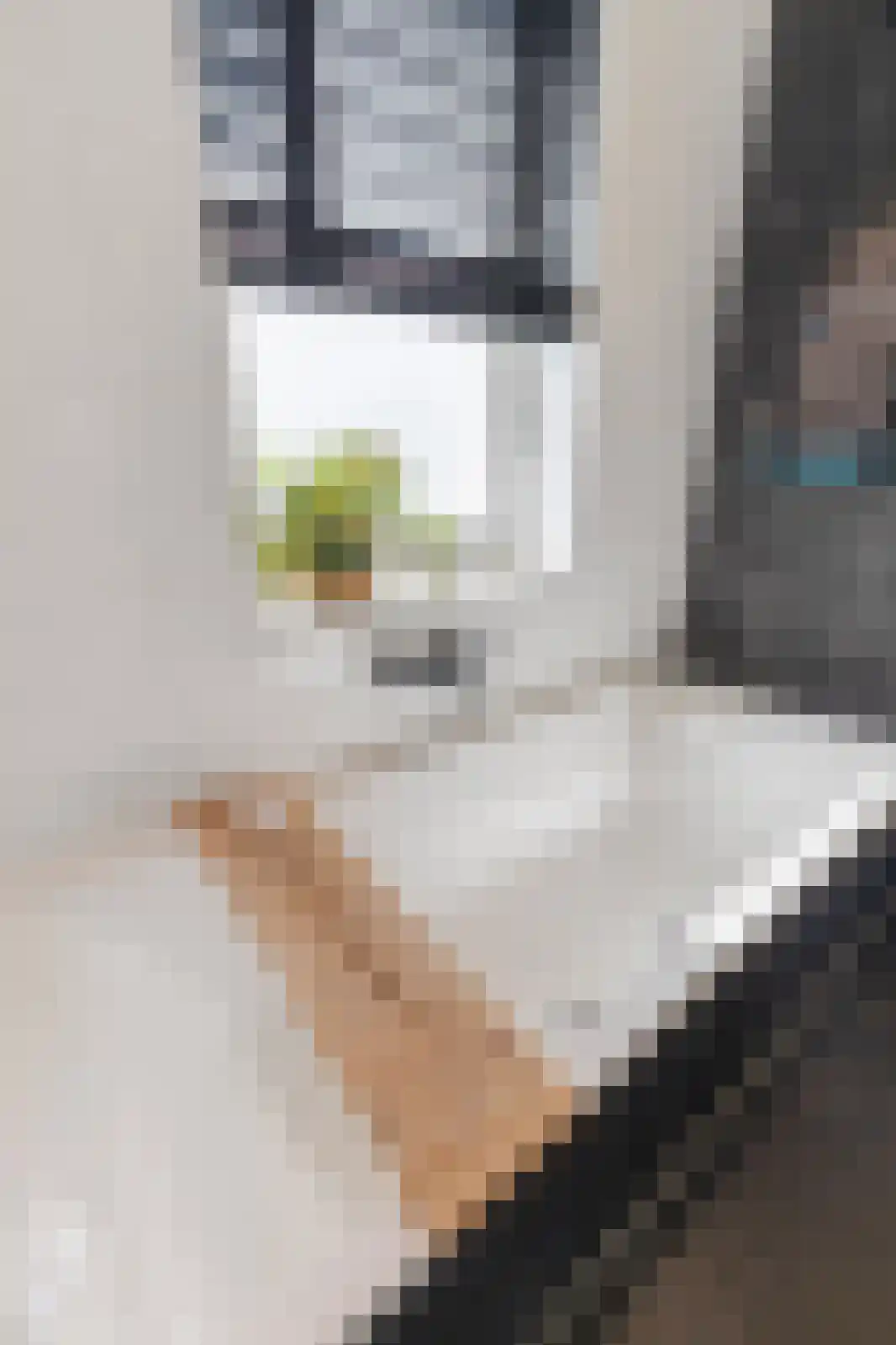 Wentelploeg 16 't Zand thumbnail 41