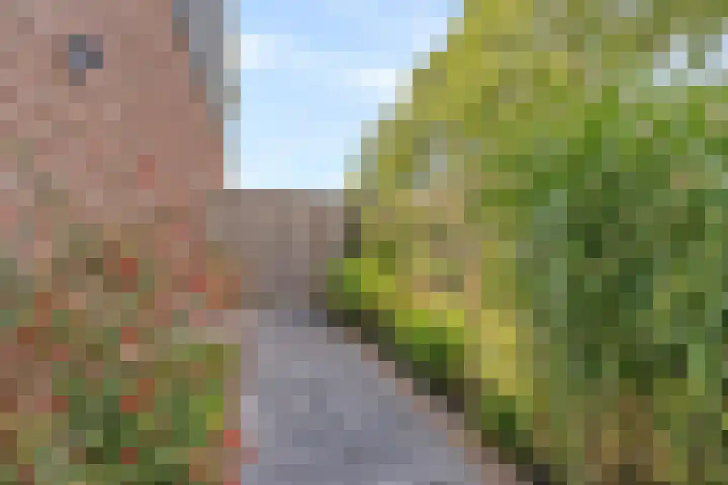 Wentelploeg 16 't Zand thumbnail 49