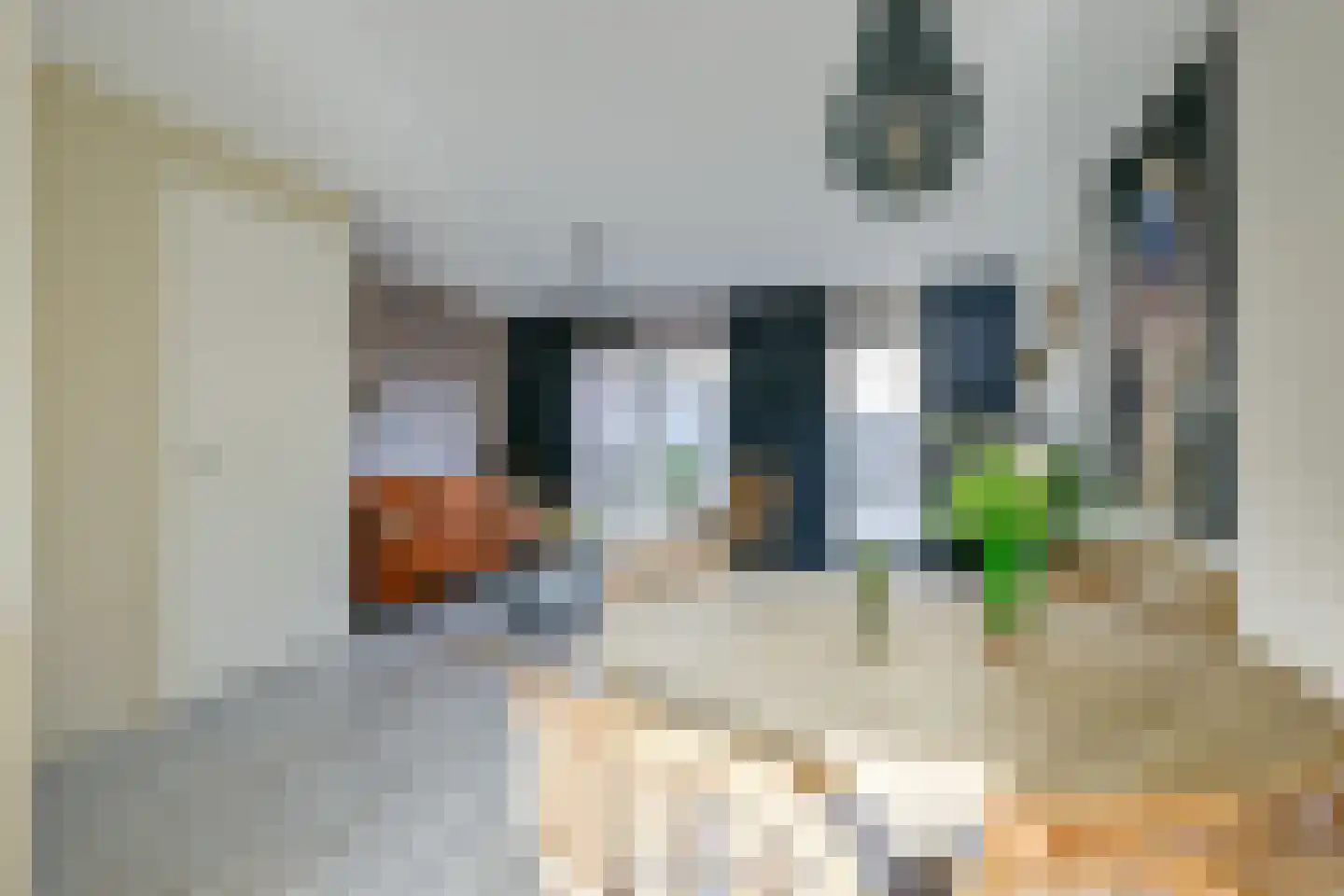 Wentelploeg 4 't Zand thumbnail 16