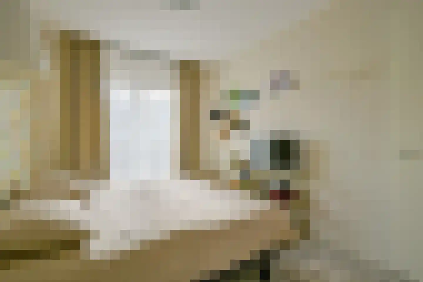 Wentelploeg 4 't Zand thumbnail 19