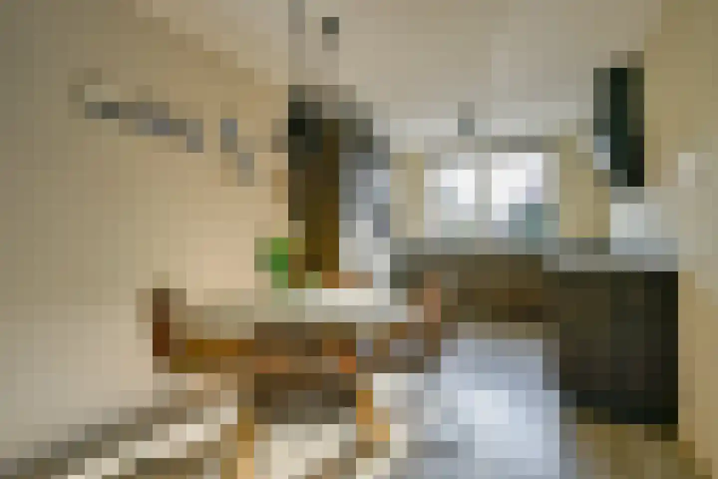 Wentelploeg 4 't Zand foto 3