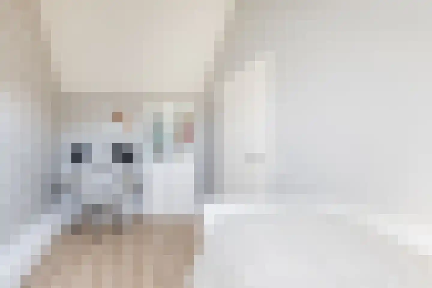 Wentelploeg 9 Voorthuizen thumbnail 29