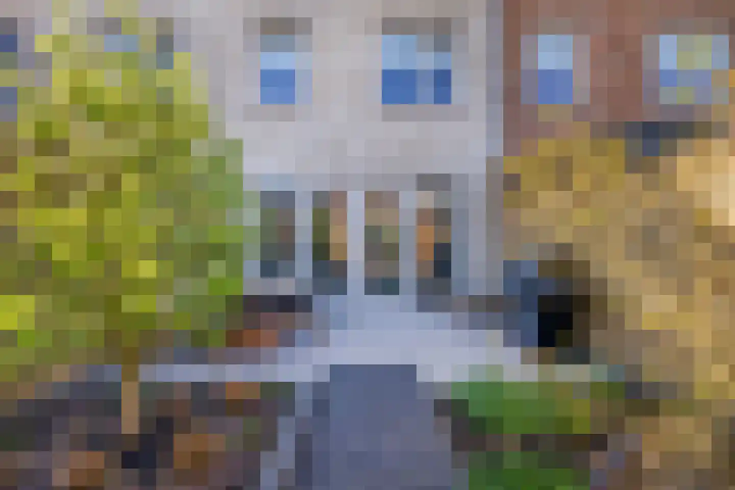 Wentelploeg 9 Voorthuizen thumbnail 31