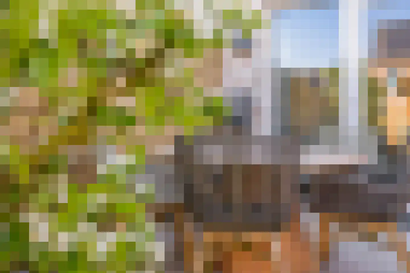 Wentelploeg 9 Voorthuizen thumbnail 35