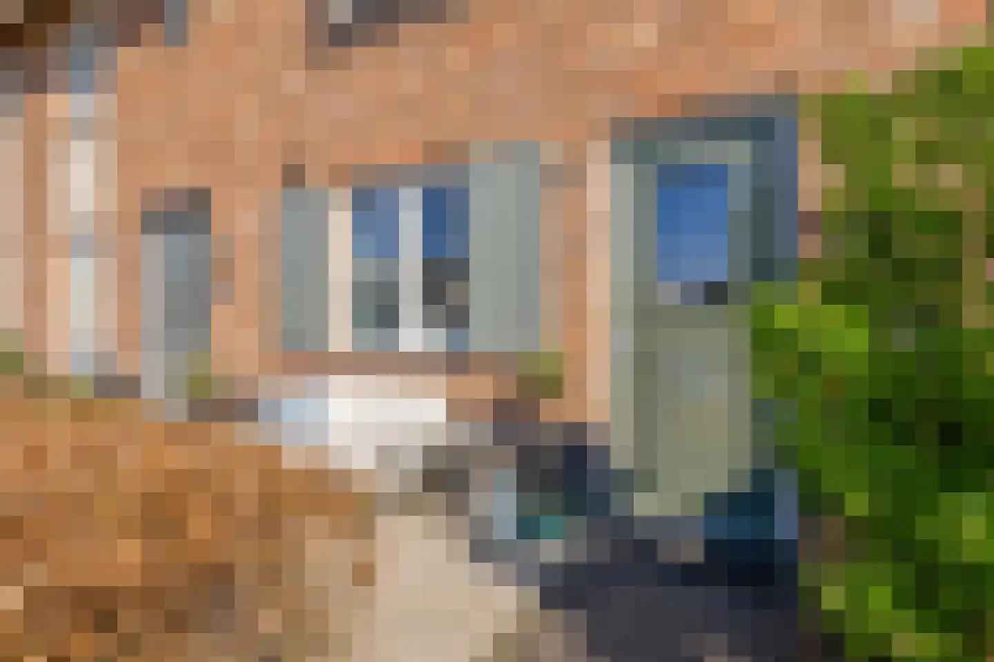 Wentelploeg 9 Voorthuizen thumbnail 37