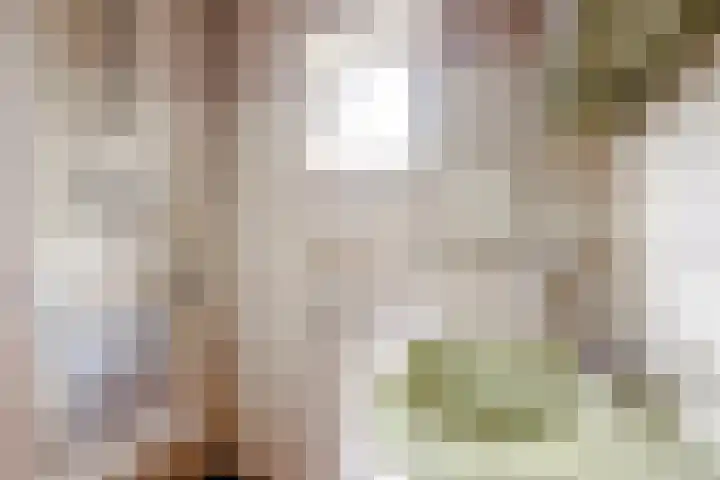 Wentholtlaan 9 Heiloo thumbnail 12