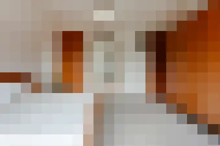 Wentholtlaan 9 Heiloo thumbnail 19