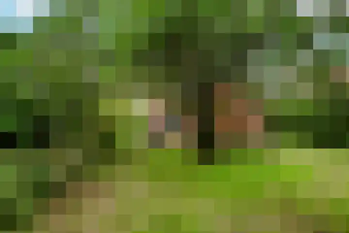 Wentholtlaan 9 Heiloo thumbnail 24