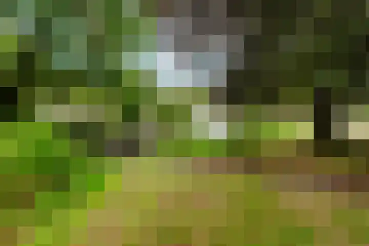 Wentholtlaan 9 Heiloo thumbnail 27