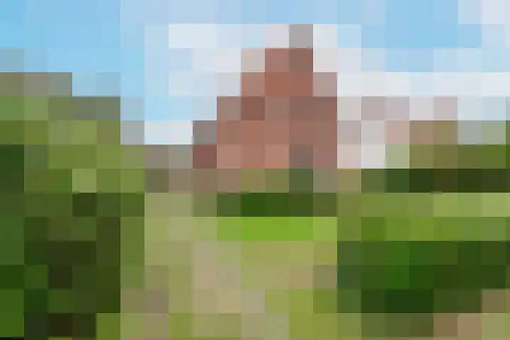 Wentholtlaan 9 Heiloo thumbnail 33