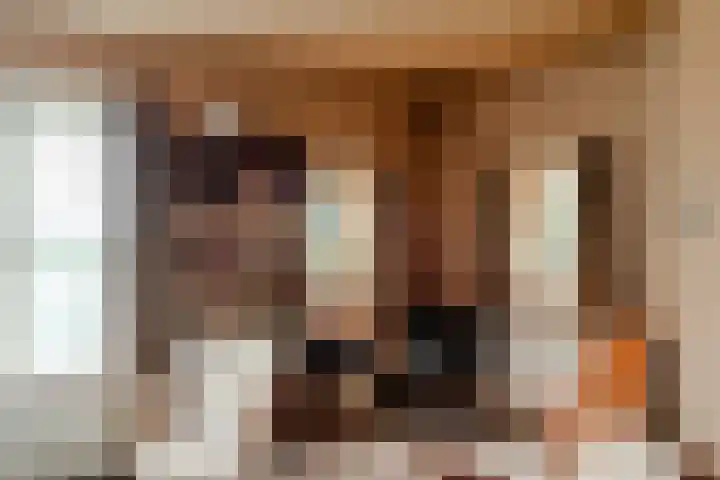 Wentholtlaan 9 Heiloo thumbnail 4
